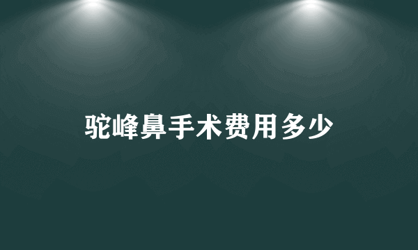 驼峰鼻手术费用多少