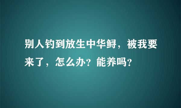 别人钓到放生中华鲟，被我要来了，怎么办？能养吗？