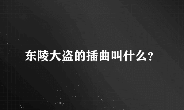 东陵大盗的插曲叫什么？