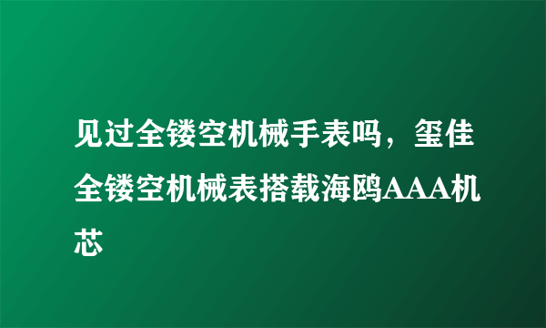 见过全镂空机械手表吗，玺佳全镂空机械表搭载海鸥AAA机芯