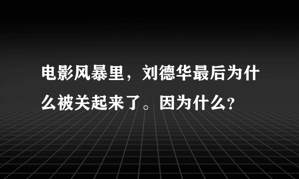 电影风暴里，刘德华最后为什么被关起来了。因为什么？