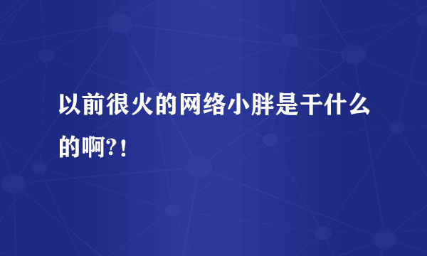 以前很火的网络小胖是干什么的啊?！