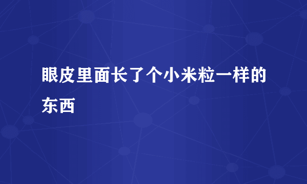 眼皮里面长了个小米粒一样的东西