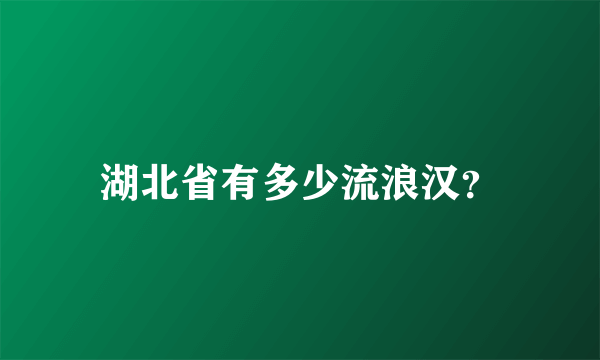 湖北省有多少流浪汉？