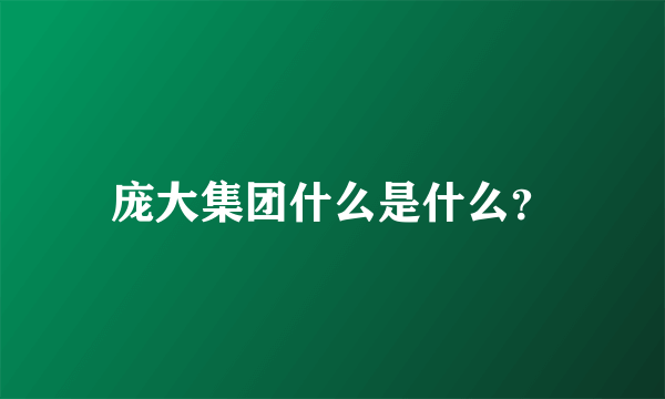 庞大集团什么是什么？