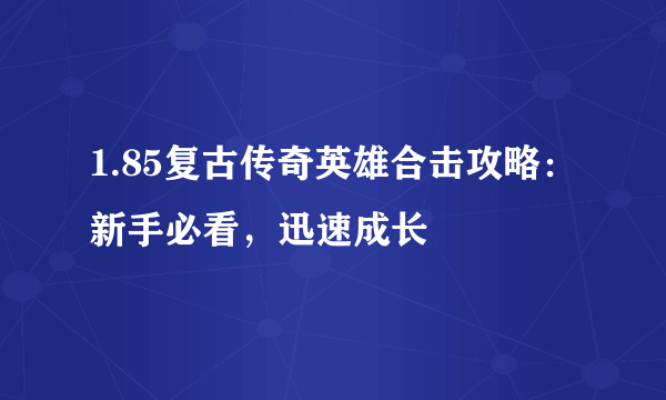 1.85复古传奇英雄合击攻略：新手必看，迅速成长