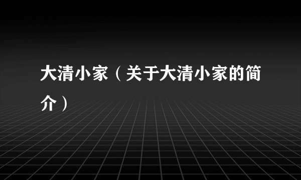 大清小家（关于大清小家的简介）