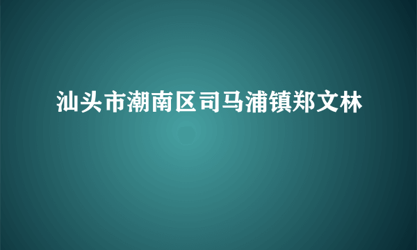 汕头市潮南区司马浦镇郑文林