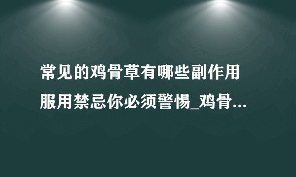 常见的鸡骨草有哪些副作用 服用禁忌你必须警惕_鸡骨草的副作用_鸡骨草怎么煲汤_鸡骨草适用人群