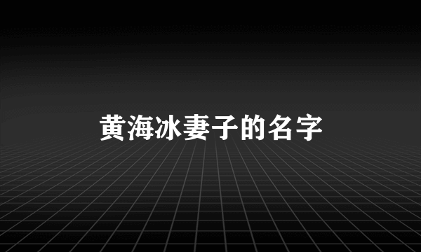 黄海冰妻子的名字