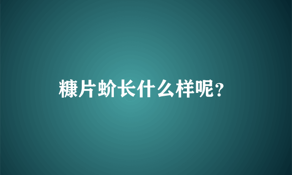 糠片蚧长什么样呢？