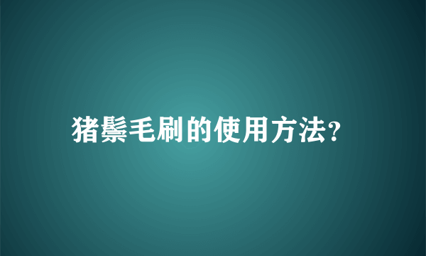 猪鬃毛刷的使用方法？