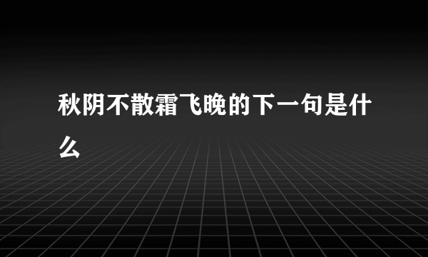 秋阴不散霜飞晚的下一句是什么