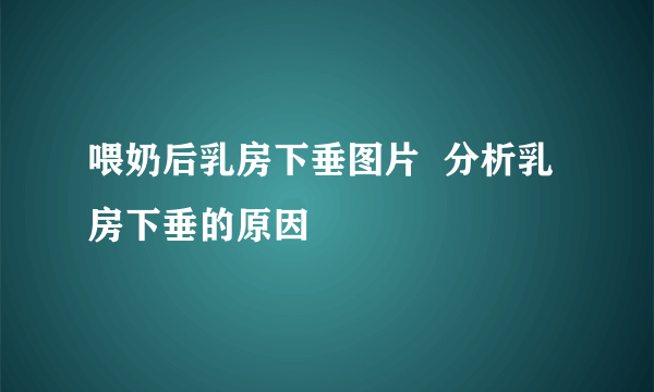 喂奶后乳房下垂图片  分析乳房下垂的原因