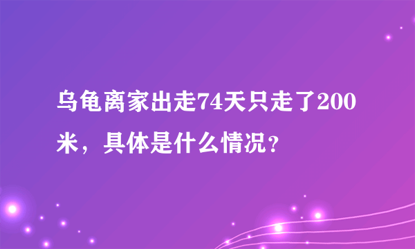 乌龟离家出走74天只走了200米，具体是什么情况？