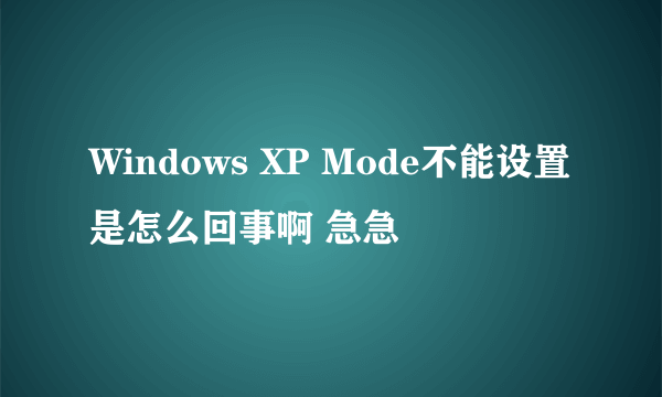 Windows XP Mode不能设置是怎么回事啊 急急