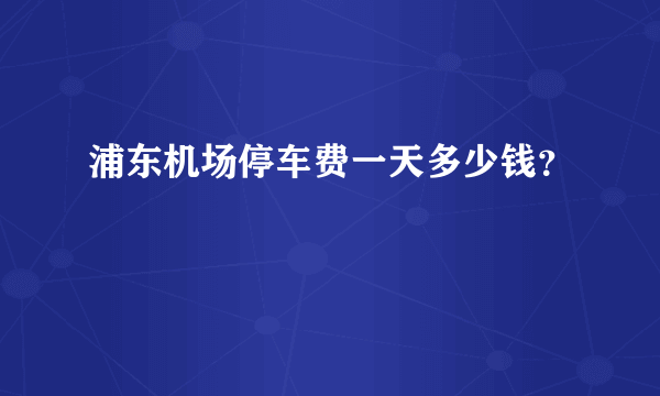 浦东机场停车费一天多少钱？