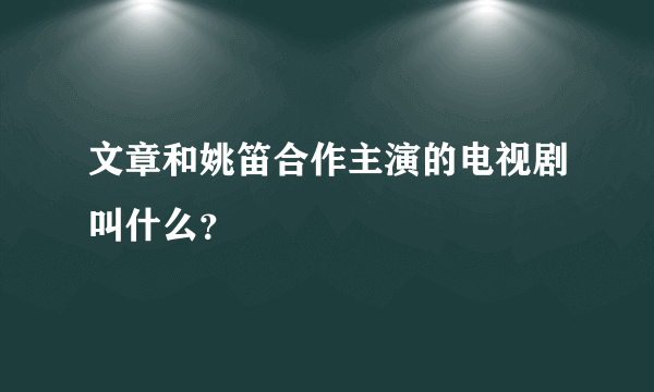 文章和姚笛合作主演的电视剧叫什么？