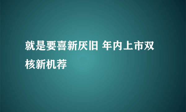 就是要喜新厌旧 年内上市双核新机荐