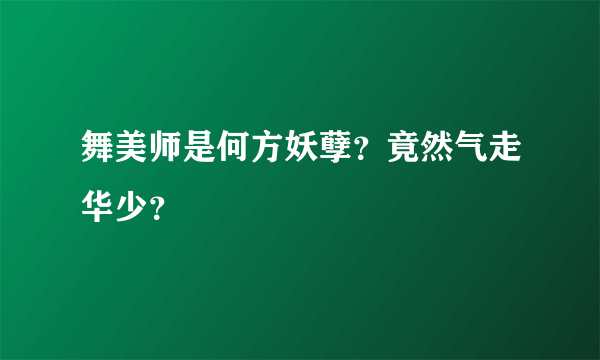 舞美师是何方妖孽？竟然气走华少？