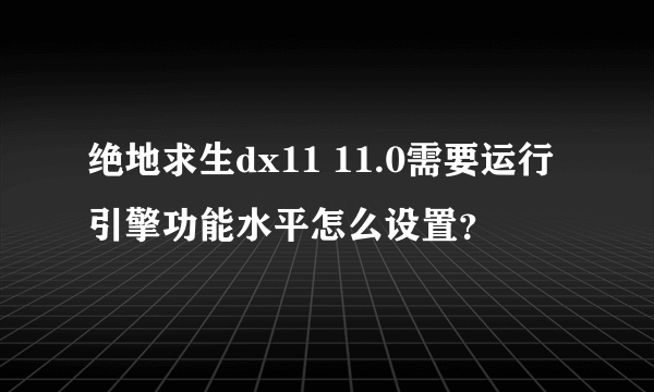 绝地求生dx11 11.0需要运行引擎功能水平怎么设置？