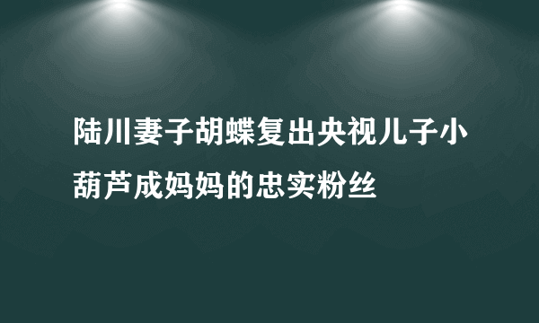 陆川妻子胡蝶复出央视儿子小葫芦成妈妈的忠实粉丝