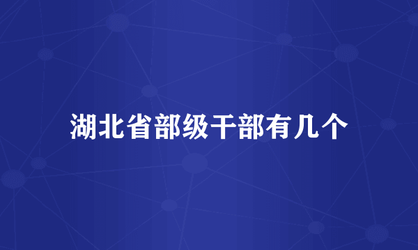 湖北省部级干部有几个