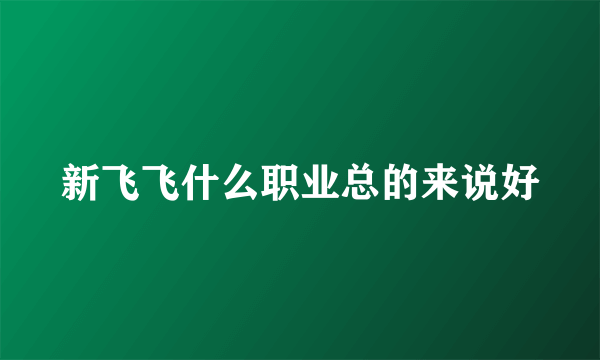 新飞飞什么职业总的来说好