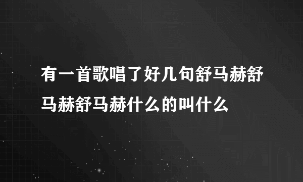 有一首歌唱了好几句舒马赫舒马赫舒马赫什么的叫什么