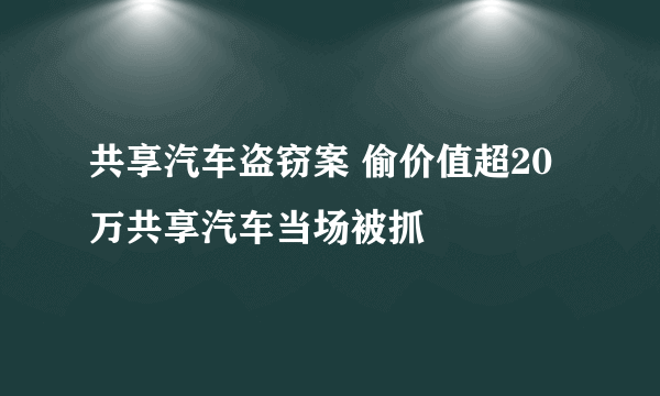 共享汽车盗窃案 偷价值超20万共享汽车当场被抓