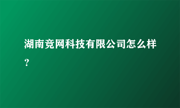 湖南竞网科技有限公司怎么样？