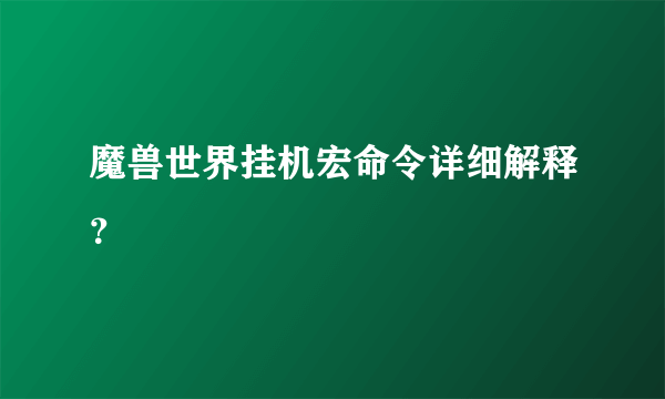 魔兽世界挂机宏命令详细解释？