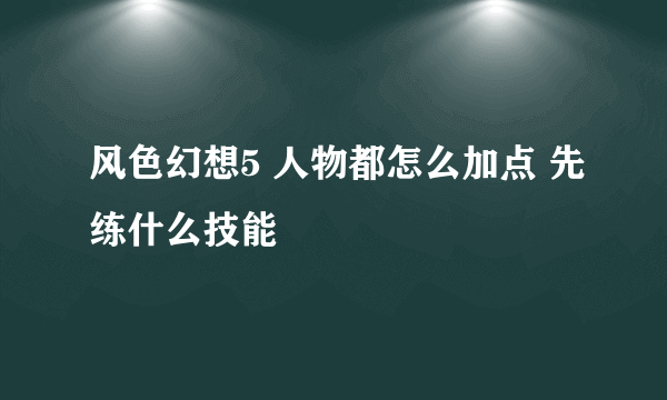 风色幻想5 人物都怎么加点 先练什么技能