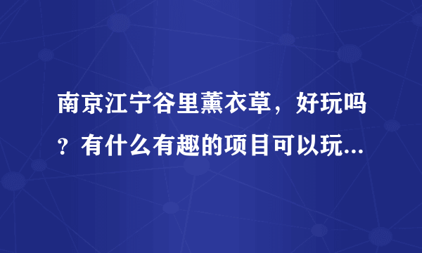 南京江宁谷里薰衣草，好玩吗？有什么有趣的项目可以玩或者看？门票多少？