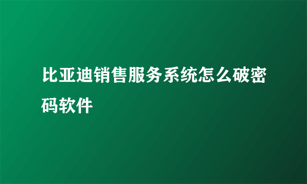 比亚迪销售服务系统怎么破密码软件