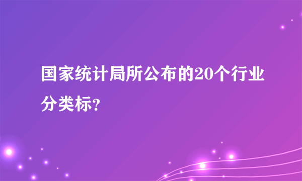 国家统计局所公布的20个行业分类标？