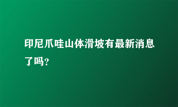 印尼爪哇山体滑坡有最新消息了吗？