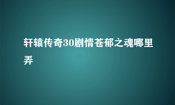 轩辕传奇30剧情苍郁之魂哪里弄