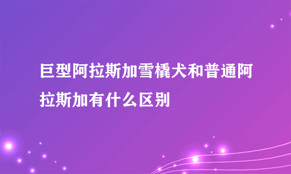 巨型阿拉斯加雪橇犬和普通阿拉斯加有什么区别