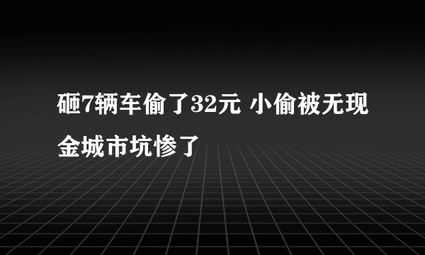 砸7辆车偷了32元 小偷被无现金城市坑惨了