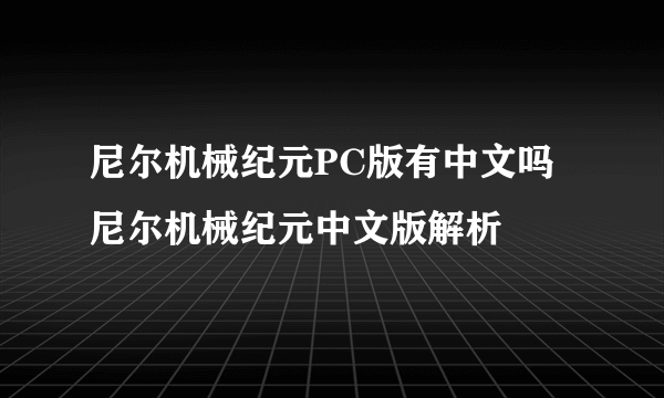 尼尔机械纪元PC版有中文吗 尼尔机械纪元中文版解析