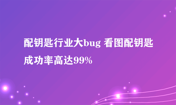 配钥匙行业大bug 看图配钥匙成功率高达99%