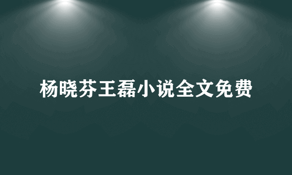 杨晓芬王磊小说全文免费