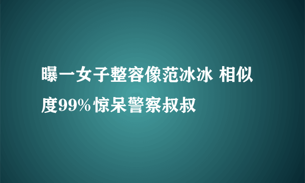 曝一女子整容像范冰冰 相似度99%惊呆警察叔叔