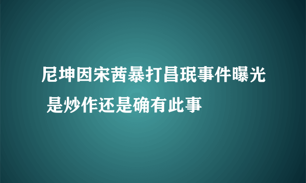 尼坤因宋茜暴打昌珉事件曝光 是炒作还是确有此事