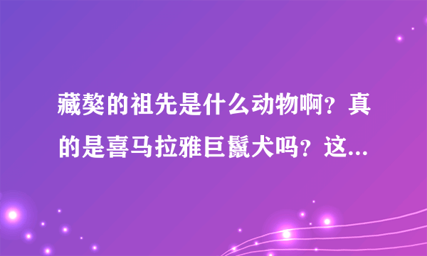 藏獒的祖先是什么动物啊？真的是喜马拉雅巨鬣犬吗？这是什么动物啊？给资料