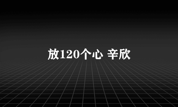 放120个心 辛欣