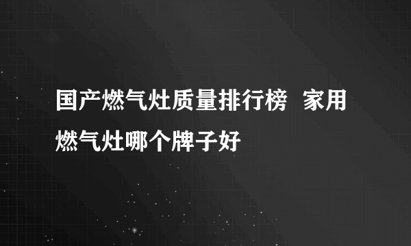 国产燃气灶质量排行榜  家用燃气灶哪个牌子好