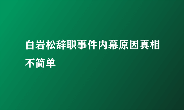 白岩松辞职事件内幕原因真相不简单