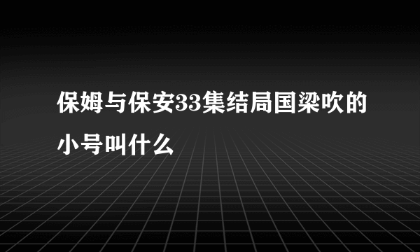 保姆与保安33集结局国梁吹的小号叫什么